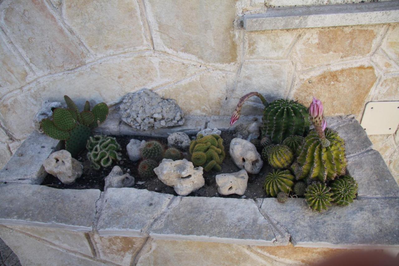 Vila La Casa Di Dario Monacizzo Pokoj fotografie